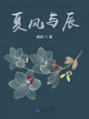夏风与辰