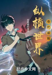 纵横世界奇妙冒险