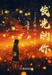 致闪闪发光的你