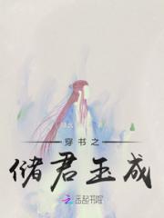 穿书之储君玉成