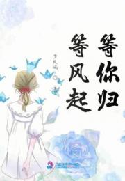 等风起等你归
