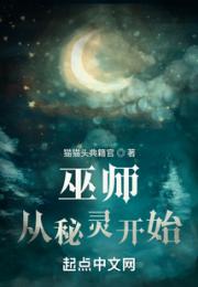 巫师：从秘灵开始