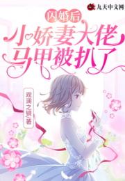 闪婚后，小娇妻大佬马甲被扒了