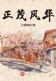 正茂风华