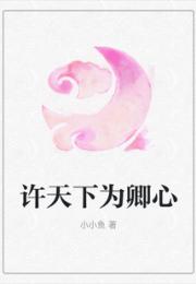 许天下为卿心