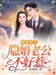 娇妻至上：隐婚老公不好惹