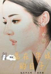 混在华娱的日子