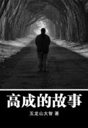 高成的故事