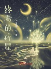 终焉的碎星