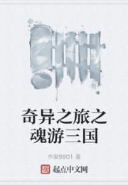 奇异之旅之魂游三国