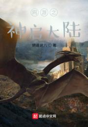 网游之神启大陆