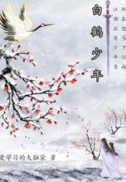 白鹤少年