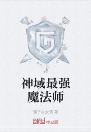 神域最强魔法师