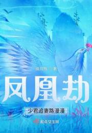 凤凰劫，少君追妻路漫漫