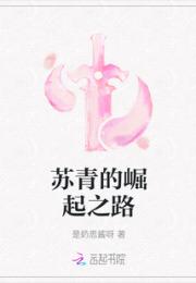 苏青的崛起之路