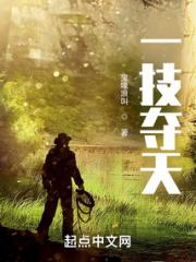 一技夺天