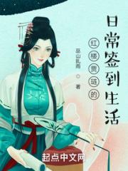 红楼贾琏的日常签到生活