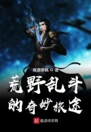 荒野乱斗的奇妙旅途