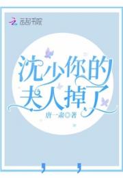 沈少你的夫人掉了