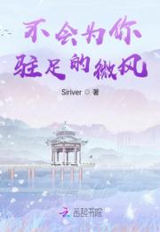 不会为你驻足的微风