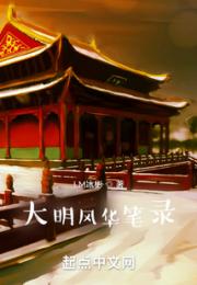 大明风华笔录