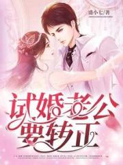 试婚老公，要转正