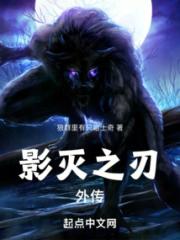 影灭之刃：外传