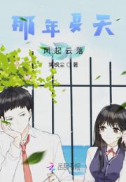那年夏天风起云落