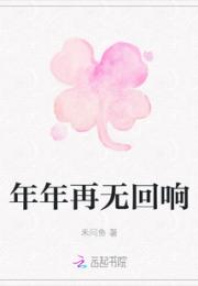 年年再无回响