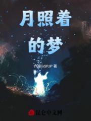 月照着的梦