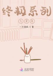 终极系列之星灸