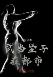 武当竖子在都市