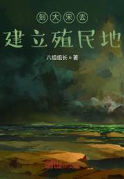 到大宋去建立殖民地