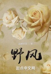 野风