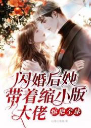 闪婚后她带着缩小版大佬惊艳全球