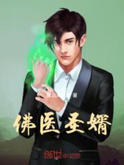 佛医圣婿
