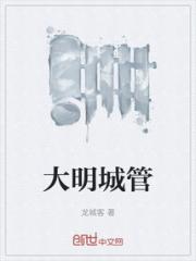大明城管