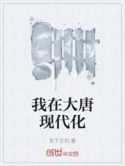 我在大唐现代化