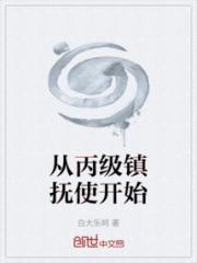 从丙级镇抚使开始