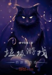 垃圾游戏的游玩方式