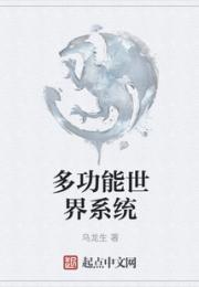 多功能世界系统
