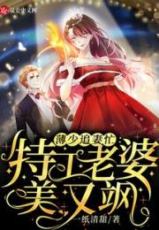 薄少追妻忙：特工老婆美又飒