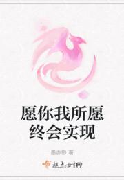 愿你我所愿终会实现