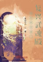 我在绝世唐门复兴武魂殿