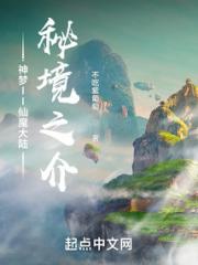 神梦II仙魔大陆秘境之介