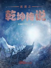 武道之乾坤传说