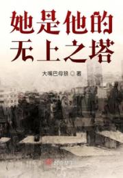 她是他的无上之塔