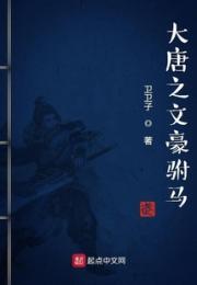 大唐之文豪驸马