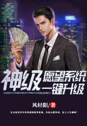 神级愿望系统一键升级