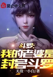 斗罗：我的老婆是封号斗罗！